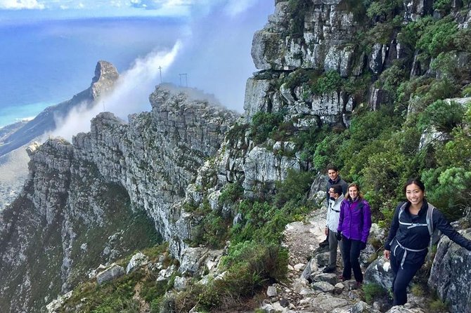 India Venster: sensational half-day route up Table Mountain - Key points to know before you go