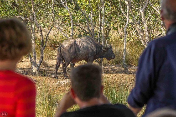 iSimangaliso Wetland Park, Full Day Tour - Why iSimangaliso deserves a full day