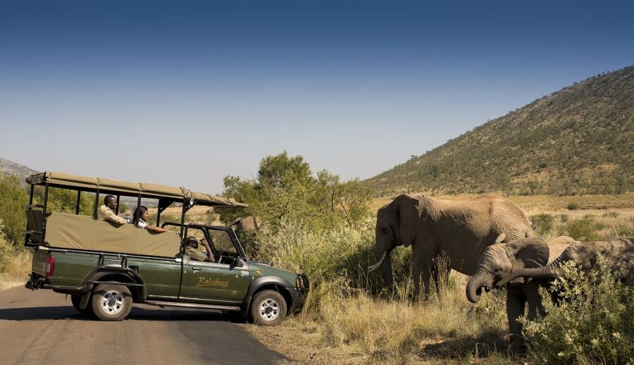 Johannesburg: 2-Day 4-Star Pilanesberg Safari - The afternoon 4x4 drive