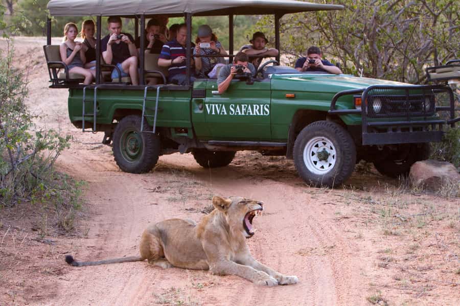 Johannesburg: 3-Day Classic Kruger National Park Safari Tour - Key points to know before booking