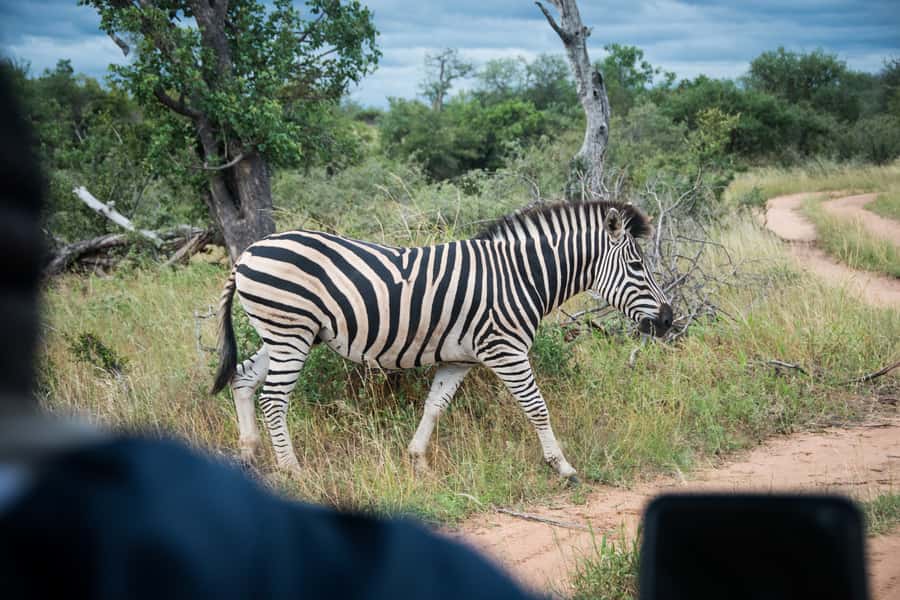 Johannesburg: 3-Day Classic Kruger National Park Safari Tour - Day three: sunrise, breakfast, and Blyde River Canyon