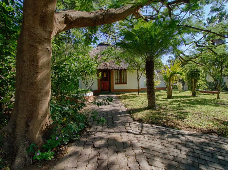 Johannesburg: 3-Day Classic Kruger National Park Safari Tour - Should you book the Kruger three-day safari?