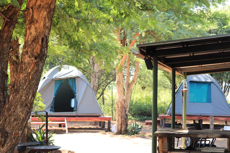 Johannesburg: 3-Day Pilanesberg Camping Adventure - Key points to know before booking