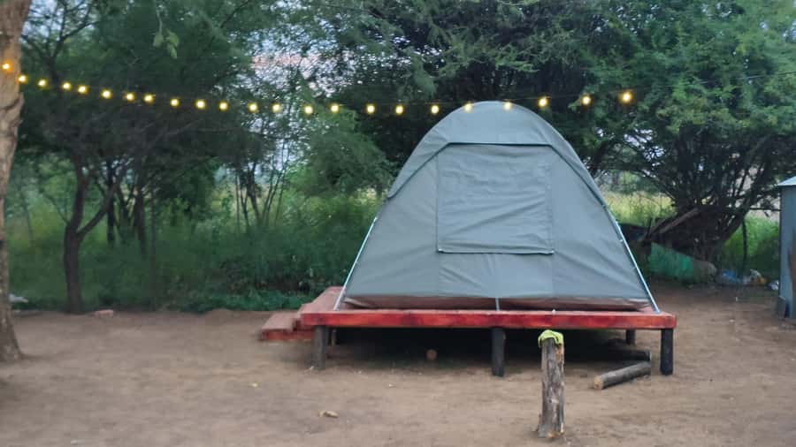 Johannesburg: 3-Day Pilanesberg Camping Adventure - Why Pilanesberg works well for a three-day safari