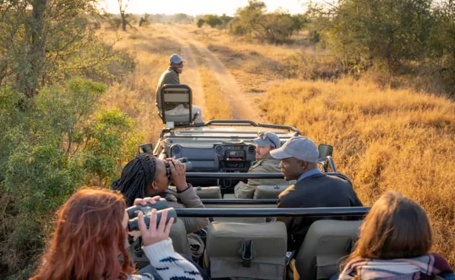 Johannesburg: 3-Day Pilanesberg Camping Adventure - Day 3: Sunrise, breakfast, and the final drive