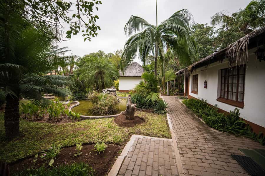 Johannesburg: 4-Day Classic Kruger National Park Safari - Is this four-day safari worth booking?