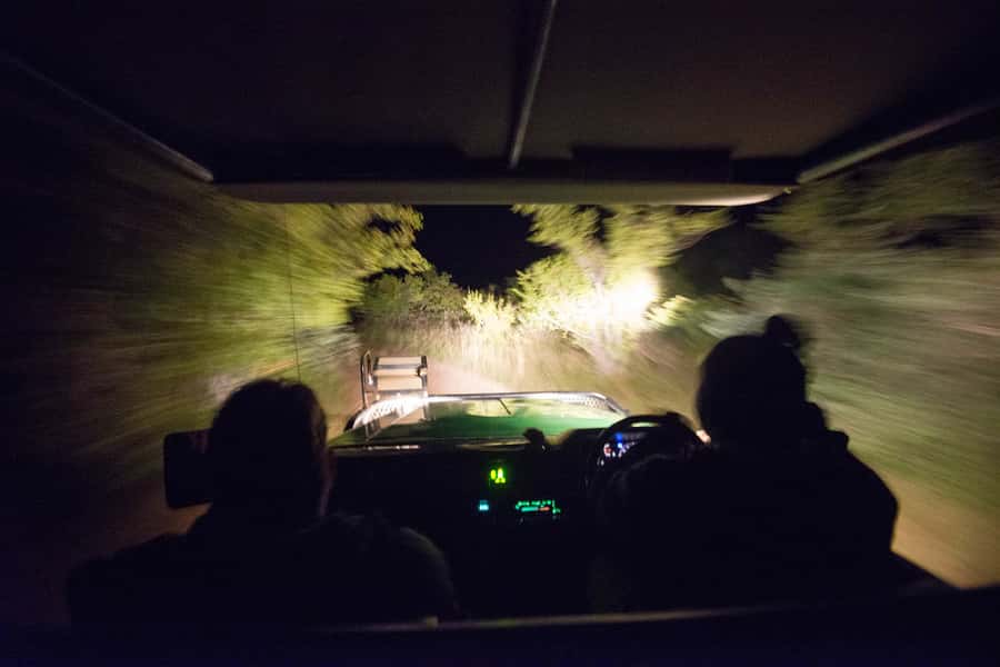 Johannesburg: 4-Day Classic Kruger National Park Safari - Day two: walking among the bush at first light