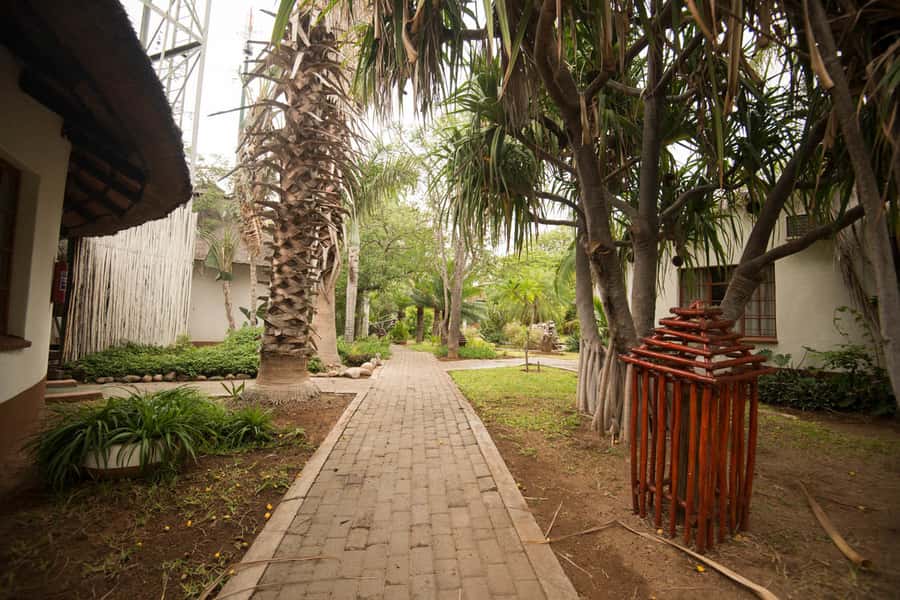 Johannesburg: 4-Day Classic Kruger National Park Safari - What to pack and how to plan the connections