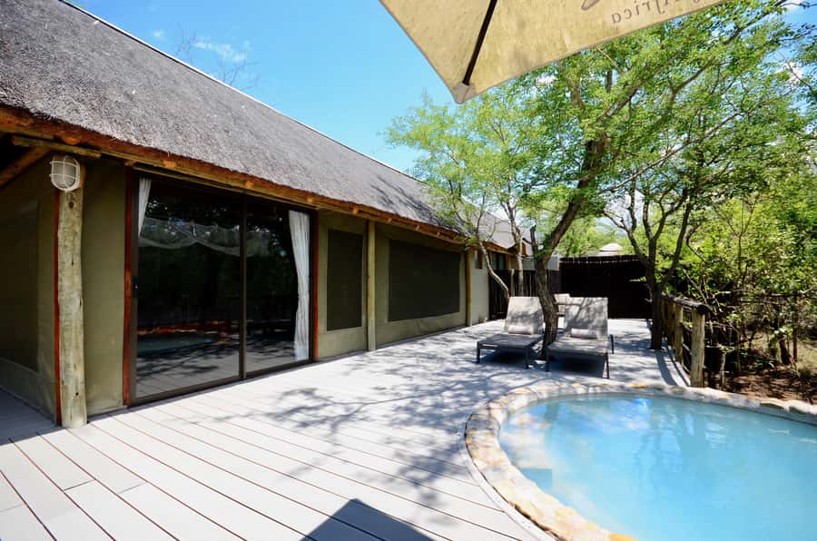Johannesburg: 6-Day Luxury Kruger National Park Safari - Should You Book It?