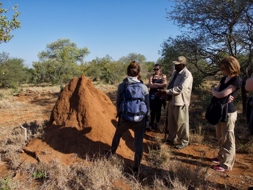 Johannesburg: 6-Day Luxury Kruger National Park Safari - Day Six: A Short Walk and Blyde River Canyon