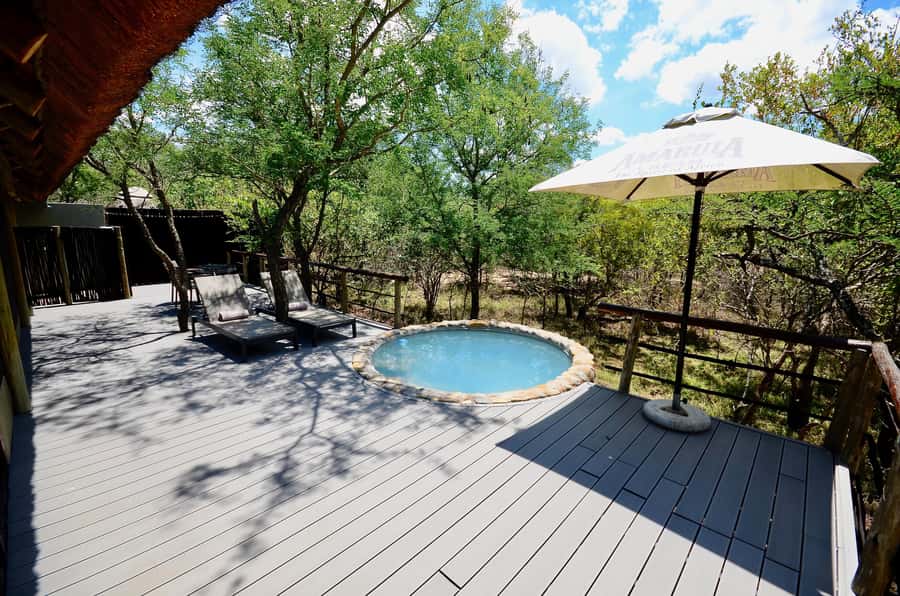 Johannesburg: 6-Day Luxury Kruger National Park Safari - How the Small Group Affects the Safari