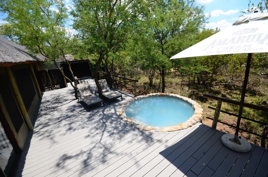 Johannesburg: 6-Day Luxury Kruger National Park Safari - Pickup, Flights, and What You Pay For