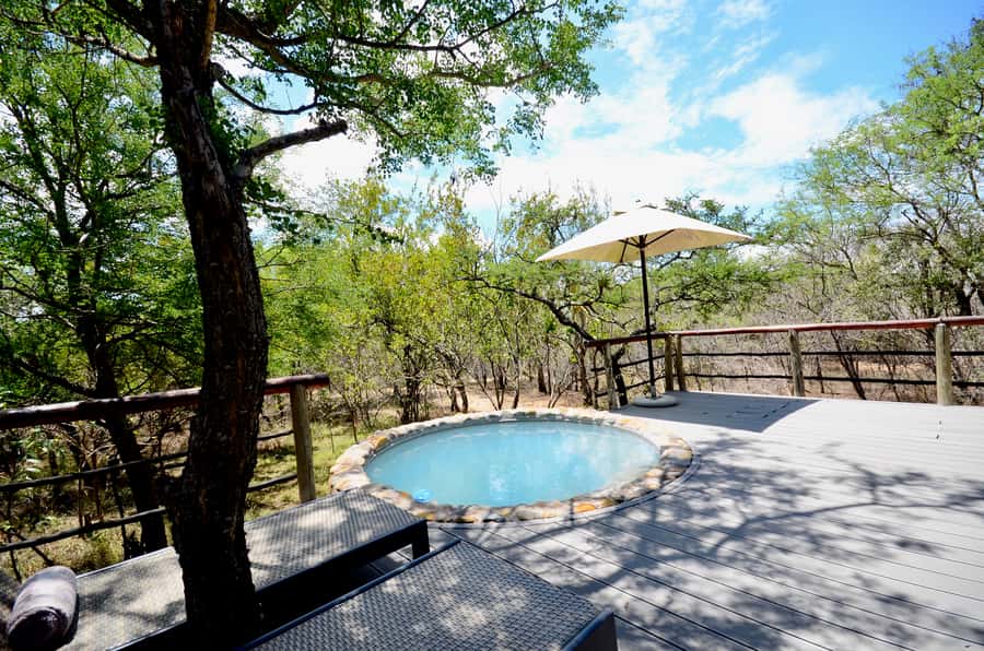 Johannesburg: 6-Day Luxury Kruger National Park Safari - Who Should Book This Safari?