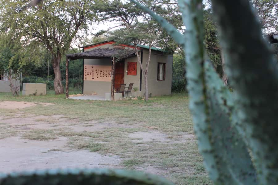 Johannesburg: Affordable 3 Day Kruger Park Safari - Day 2: A full Kruger safari through the Orpen-Satara-Nwanedzi zone