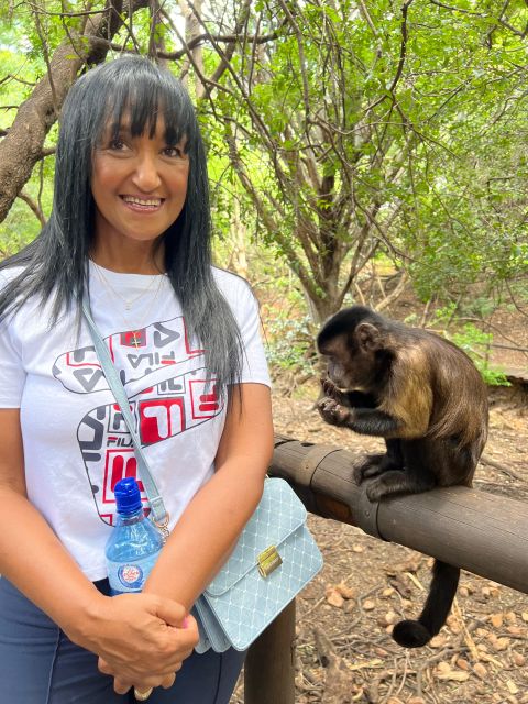 Johannesburg: Elephant and Monkey Sanctuary Half Day Tour - Next door to the monkey sanctuary