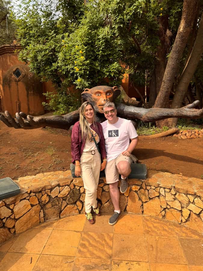 Johannesburg: Elephant and Monkey Sanctuary Half Day Tour - What the schedule gives you
