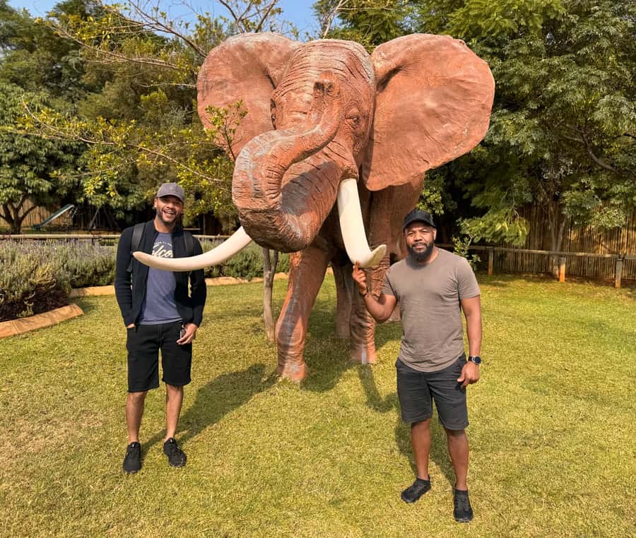 Johannesburg: Elephant and Monkey Sanctuary Half Day Tour - Practical tips for a smoother visit