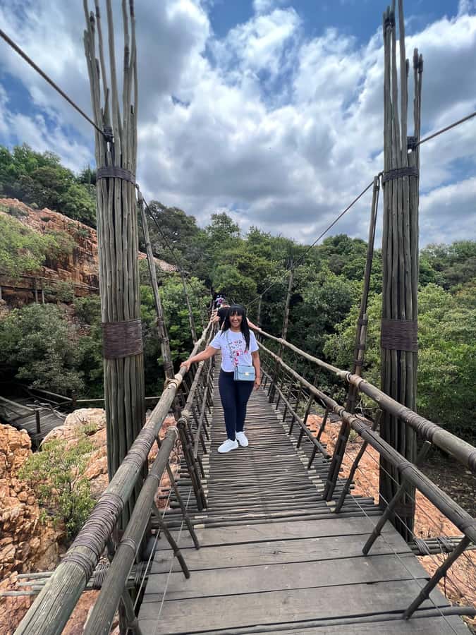 Johannesburg: Elephant and Monkey Sanctuary Half Day Tour - Leaving Sandton at 8:30 a.m.