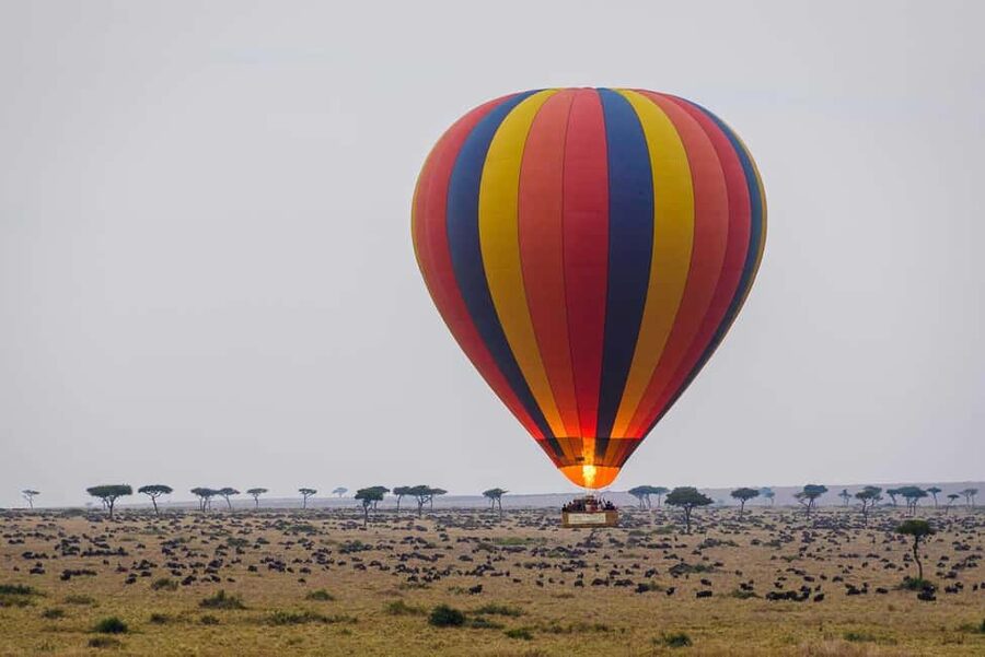 Johannesburg: Hot Air Balloon Flight - Key points to know before booking
