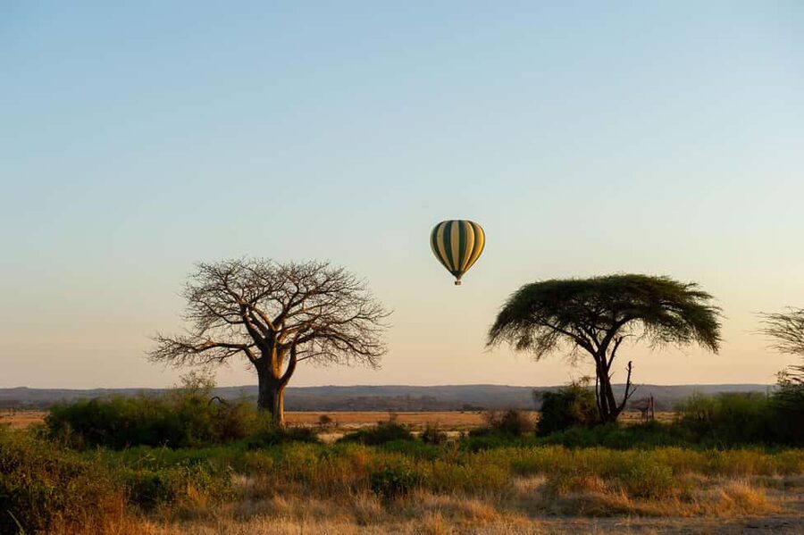 Johannesburg: Hot Air Balloon Flight - What happens during the 60-minute flight