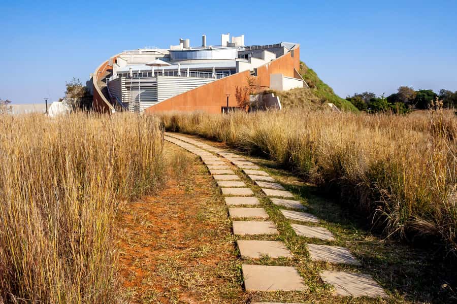 Johannesburg: Lion Park Safari and Cultural Village Tour - Key points to know before booking