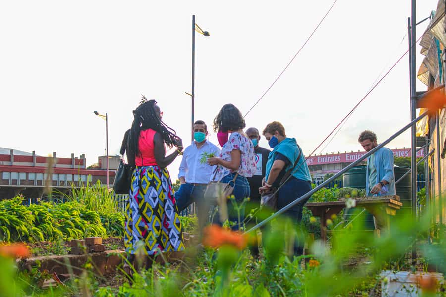 Johannesburg: Pan-African Cooking & Dinning Experience - What the market visit actually adds