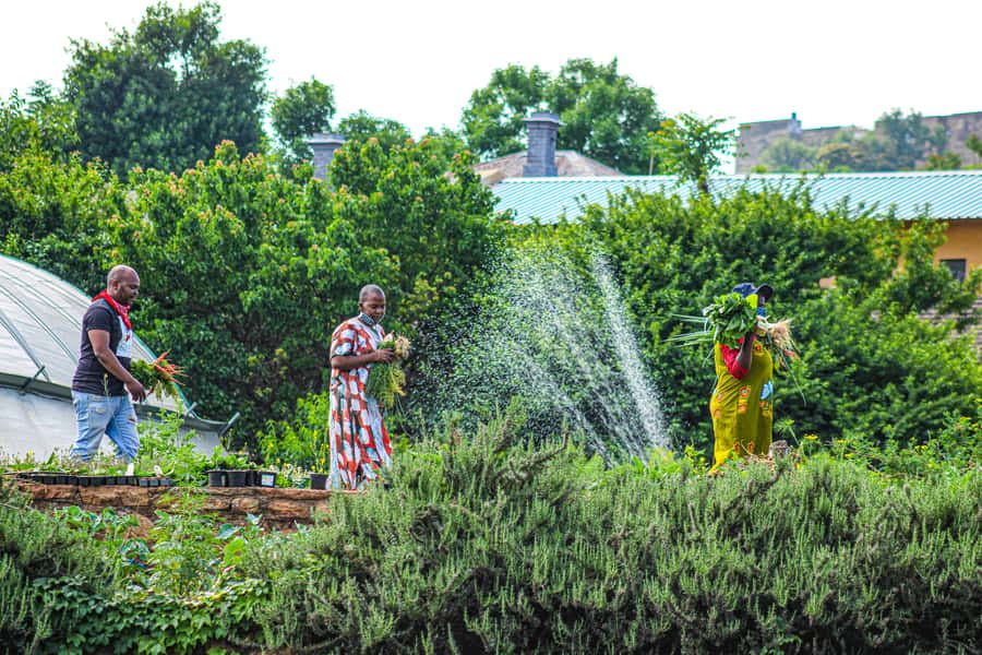 Johannesburg: Pan-African Cooking & Dinning Experience - Who will enjoy this most?