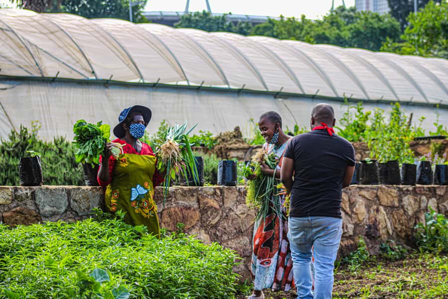 Johannesburg: Pan-African Cooking & Dinning Experience - Should you book the Pan-African cooking experience?