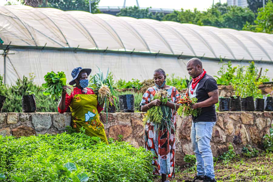 Johannesburg: Pan-African Cooking & Dinning Experience - FAQ