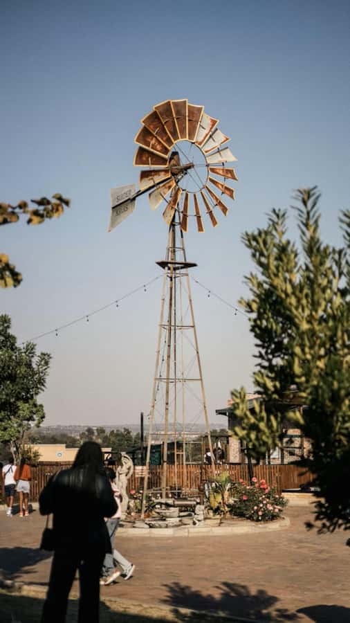 Johannesburg: Private Walking Tour with a Local - Choosing between a two-hour walk and six hours