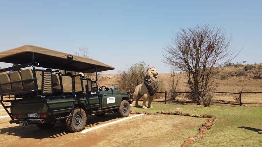 Johannesburg: Rhino and Lion Nature Reserve Safari - What the $121 price includes