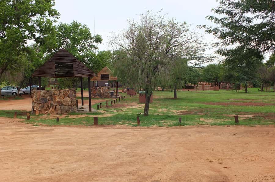 Johannesburg: Rhino and Lion Nature Reserve Safari - Communication, cancellation, and planning tips