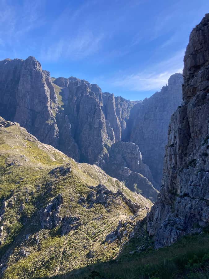 Jonkershoek Nature Reserve: Guided Panorama Trail Hike - Fynbos, forest, and changing mountain country