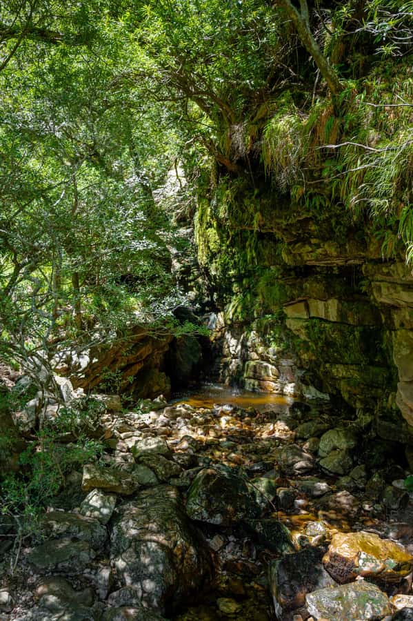 Jonkershoek: Waterfall Hike and 4x4 Safari Ride - Hiking to the First or Second Waterfall