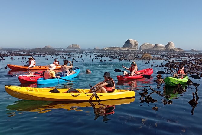 Kayak Adventure at Clifton Beach - Returning to Clifton 4th Beach