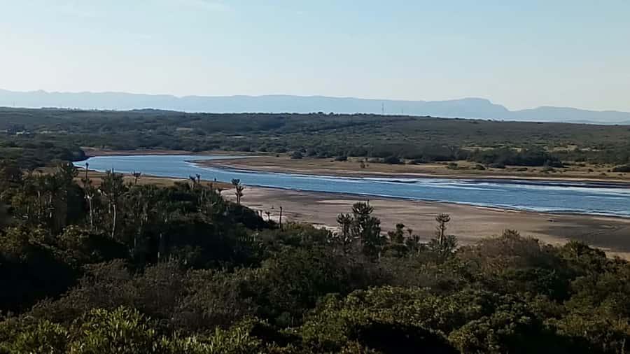 Kayaking Jeffreys Bay - What you can see around the Nature Reserve