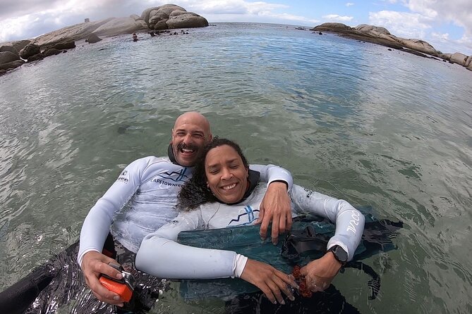 Kelp Forest Snorkeling in Cape Town - Why Cape Town’s kelp forest is worth your time