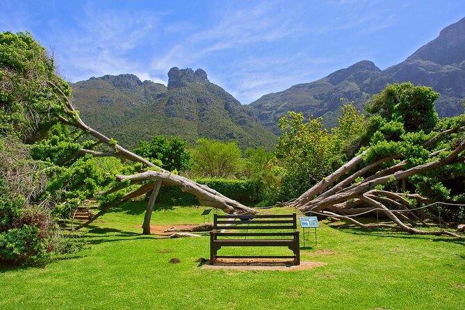 Kirstenbosch Garden, Bo-Kaap-Penguins & Cape of Good Hope Tour - St James Beach and the False Bay coast