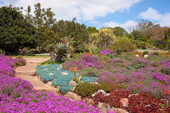 Kirstenbosch Garden, Bo-Kaap-Penguins & Cape of Good Hope Tour - Simons Town and the Just Nuisance story