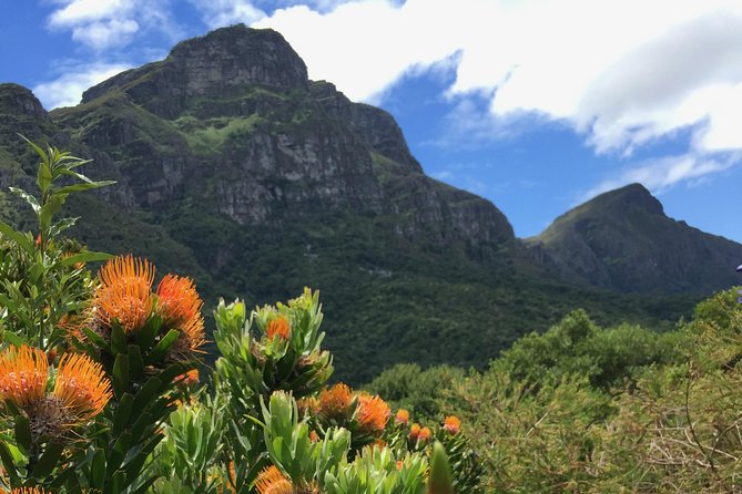 Kirstenbosch National Botanical Gardens: A Self-guided Audio Tour - Starting at Gate 2 and finding your bearings