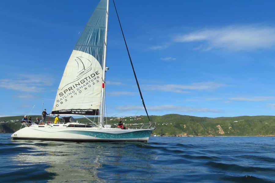 Knysna: 1.5-Hour Sailing Experience - From Knysna Waterfront to the estuary