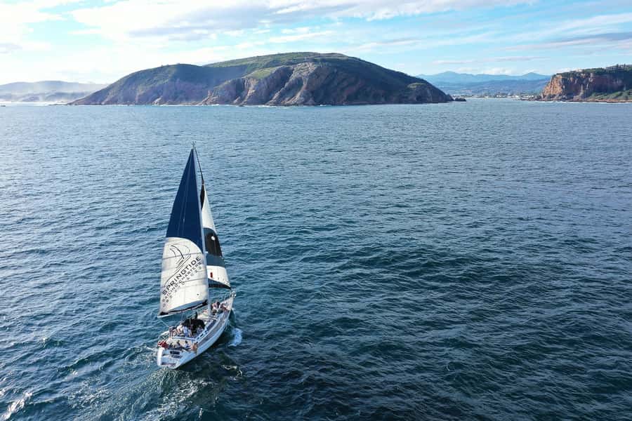 Knysna: 1.5-Hour Sailing Experience - Practical advice before you board