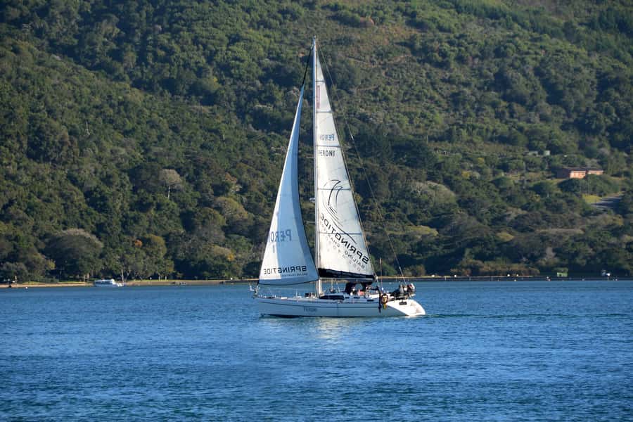 Knysna: 2.5-Hour Day Sail & Lunch Charter - A small group with room to pay attention