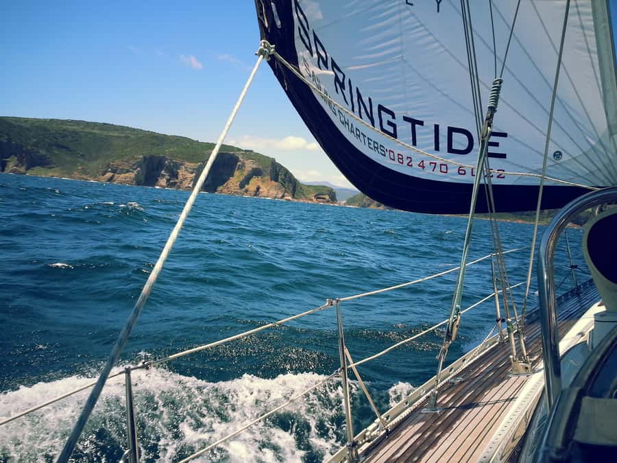 Knysna: 2.5-Hour Day Sail & Lunch Charter - Practical comfort on the yacht