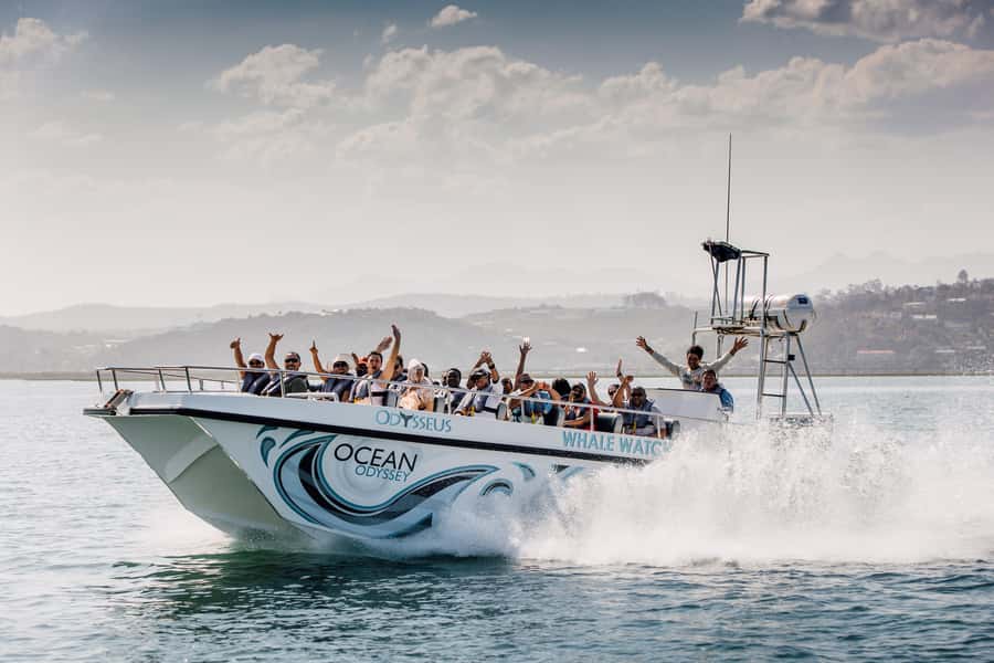 Knysna: Close Encounter Whale Watching Tour by Boat - How the whale spotter improves your chances