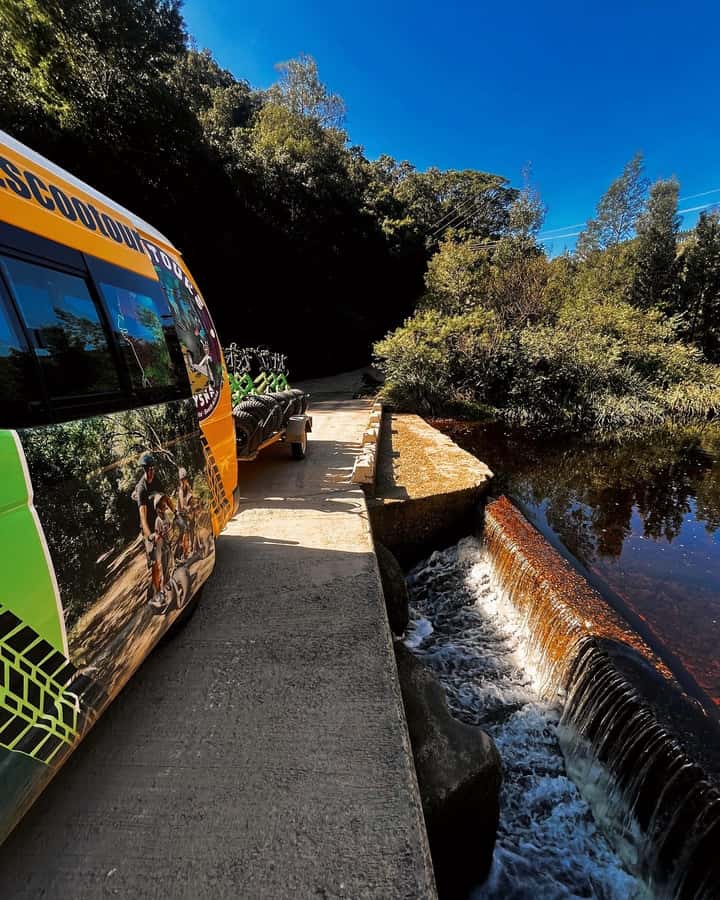 Knysna: Downhill Forest Scootour Adventure - A downhill route through Knysna Forest