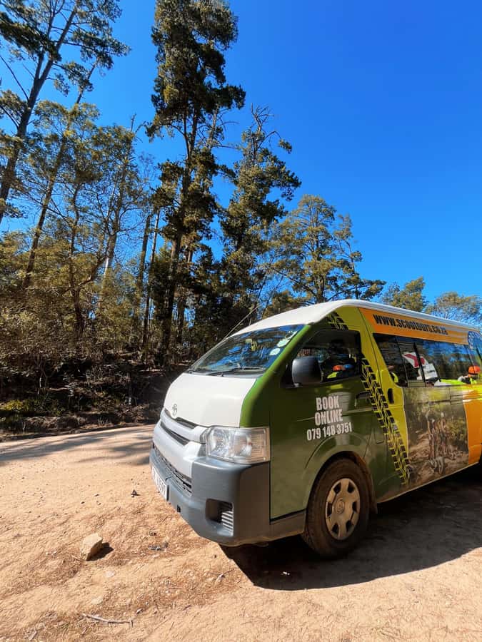 Knysna: Downhill Forest Scootour Adventure - Who will enjoy this most?