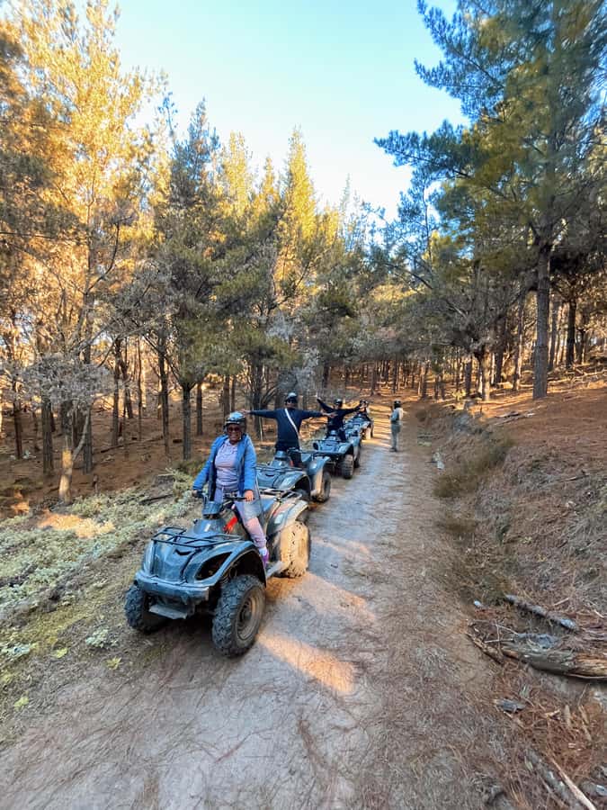 Knysna: Guided Quad Bike Tour in the Forest - One hour and 12 to 15 kilometers of riding