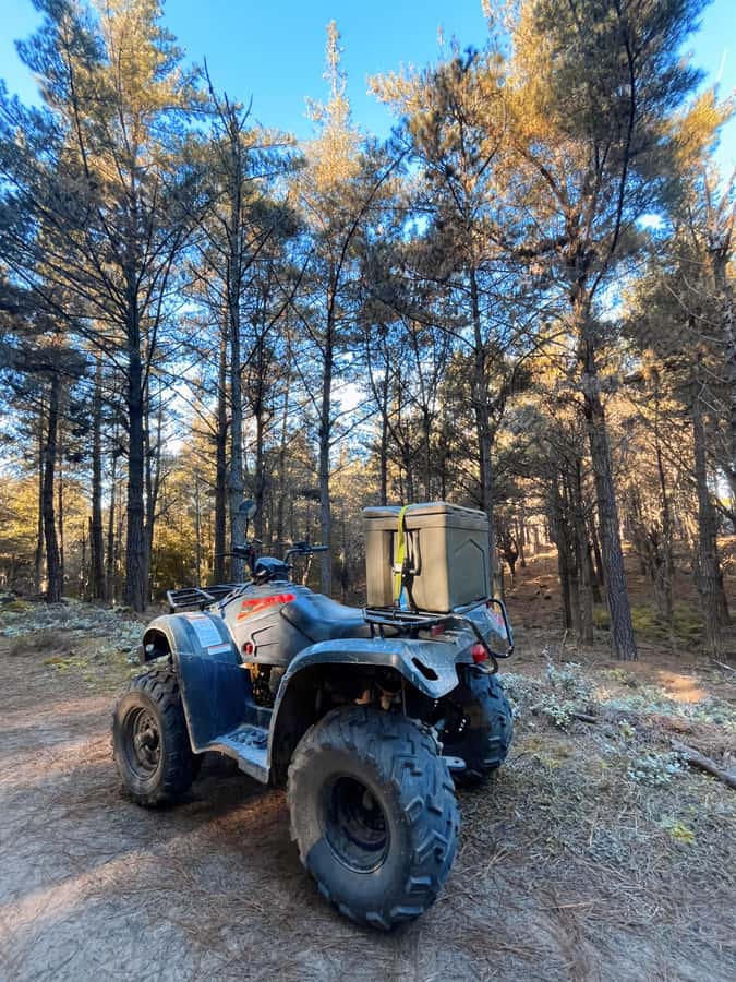 Knysna: Guided Quad Bike Tour in the Forest - Riding with children and checking the limits