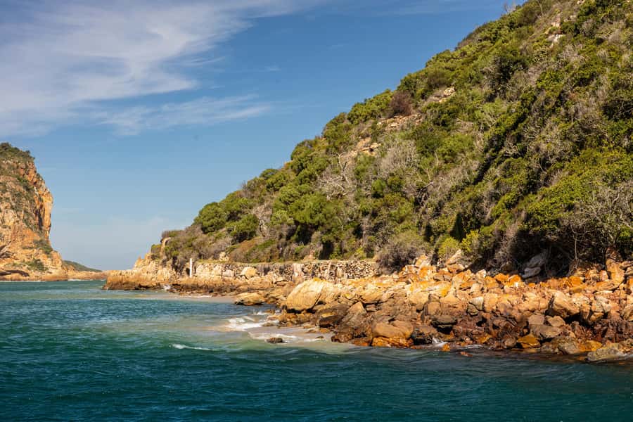 Knysna: Knysna Lagoon Pontoon Boat Cruise - Swimming, sunshine, and the practical side of the boat